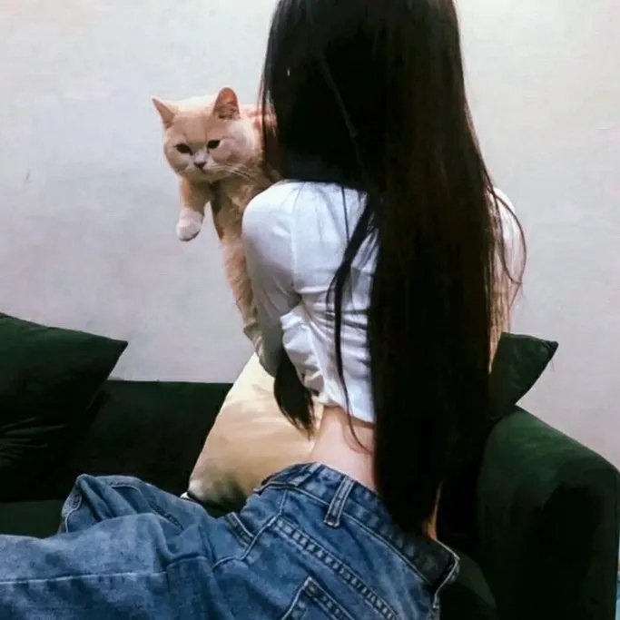 单骑悍盗